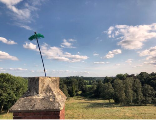 Why You Cannot Neglect Your Chimney!